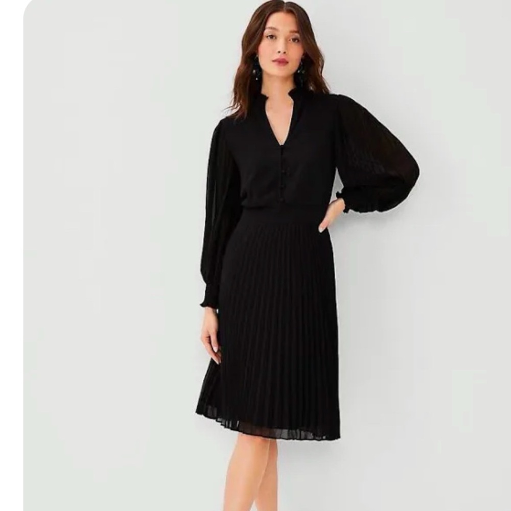 Ann Taylor dress with pleated long sleeves and skirt